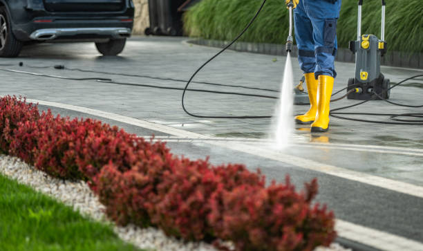 Best Roof Washing  in Pinehurst, MA